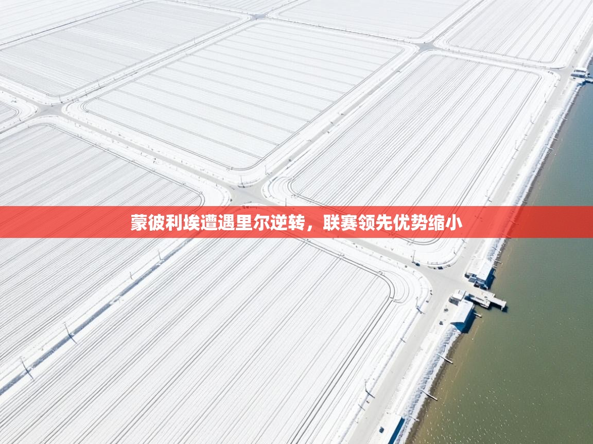 蒙彼利埃遭遇里尔逆转，联赛领先优势缩小