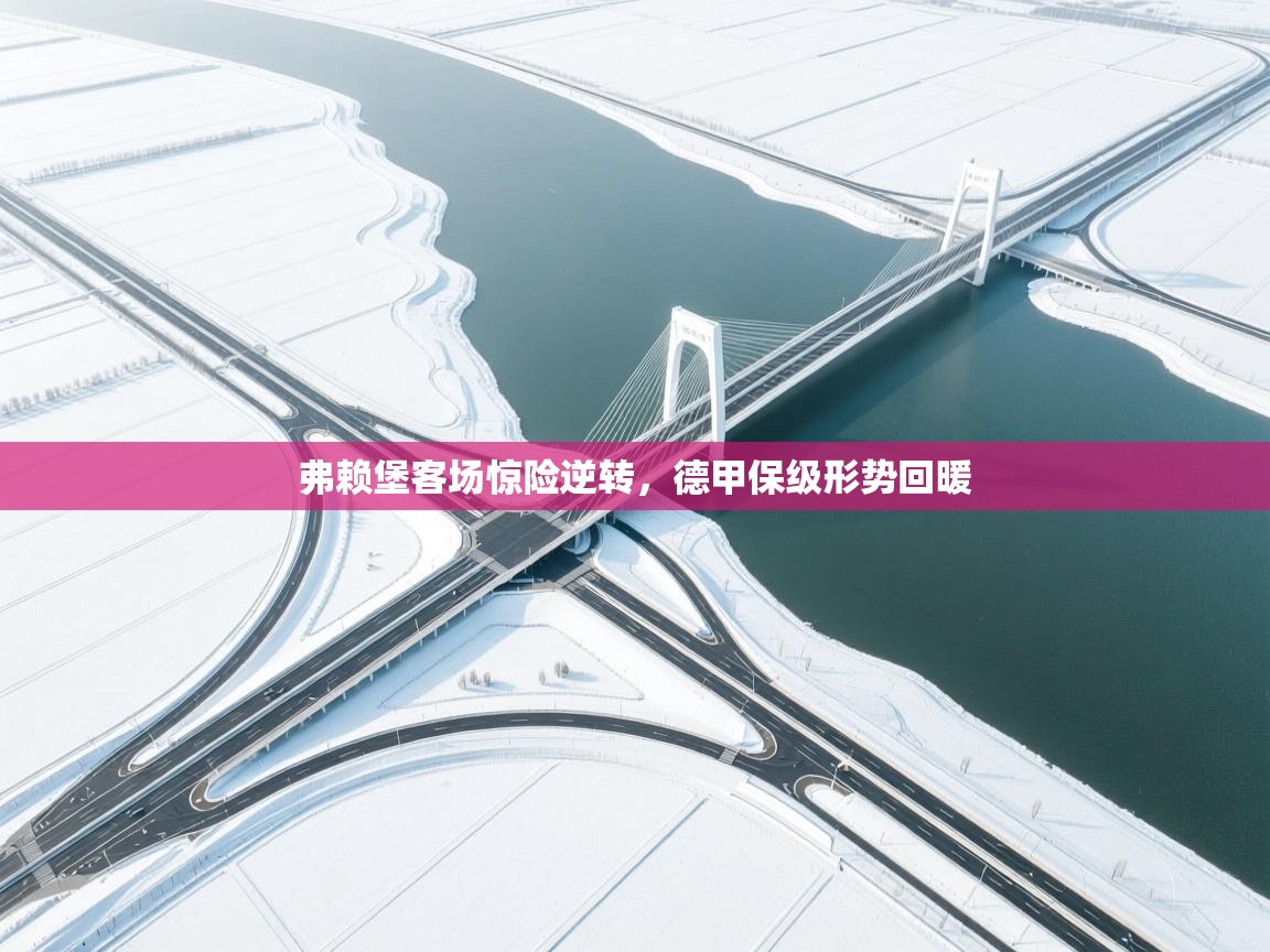 弗赖堡客场惊险逆转，德甲保级形势回暖  第2张