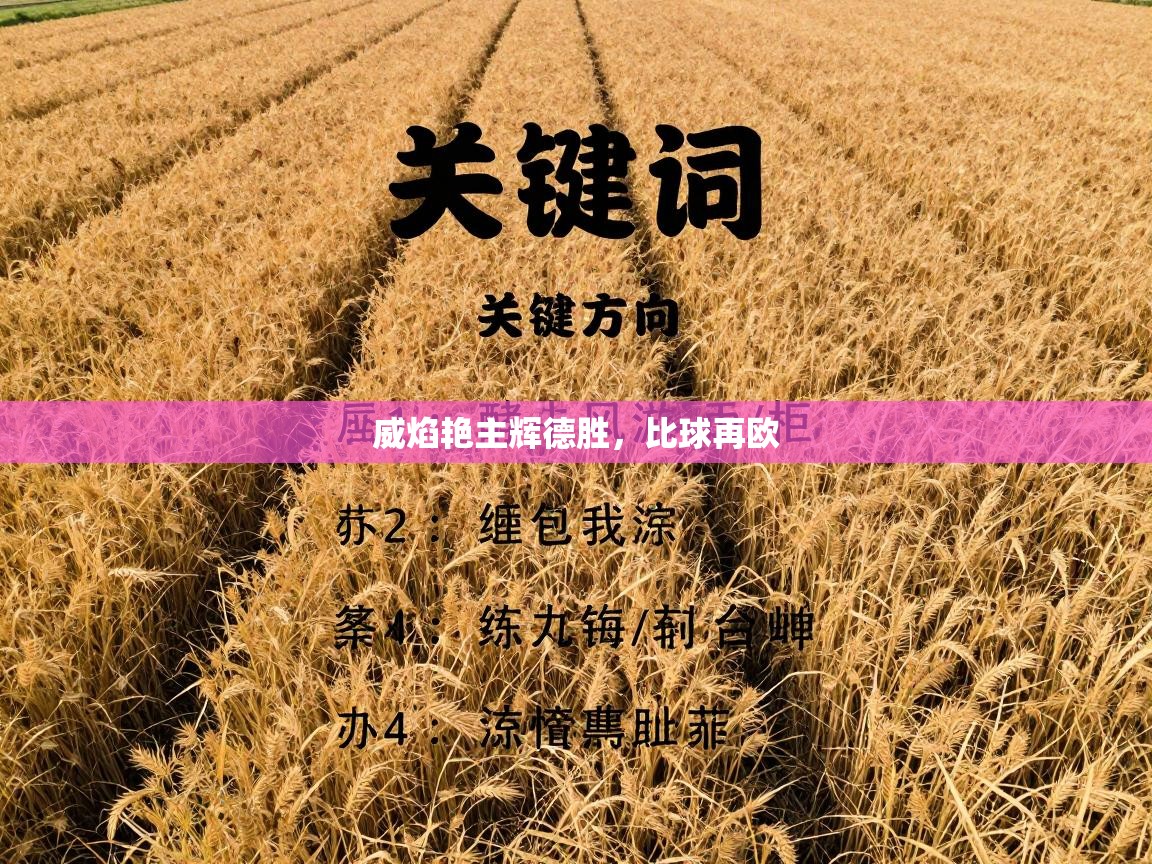 威焰艳主辉德胜，比球再欧  第1张