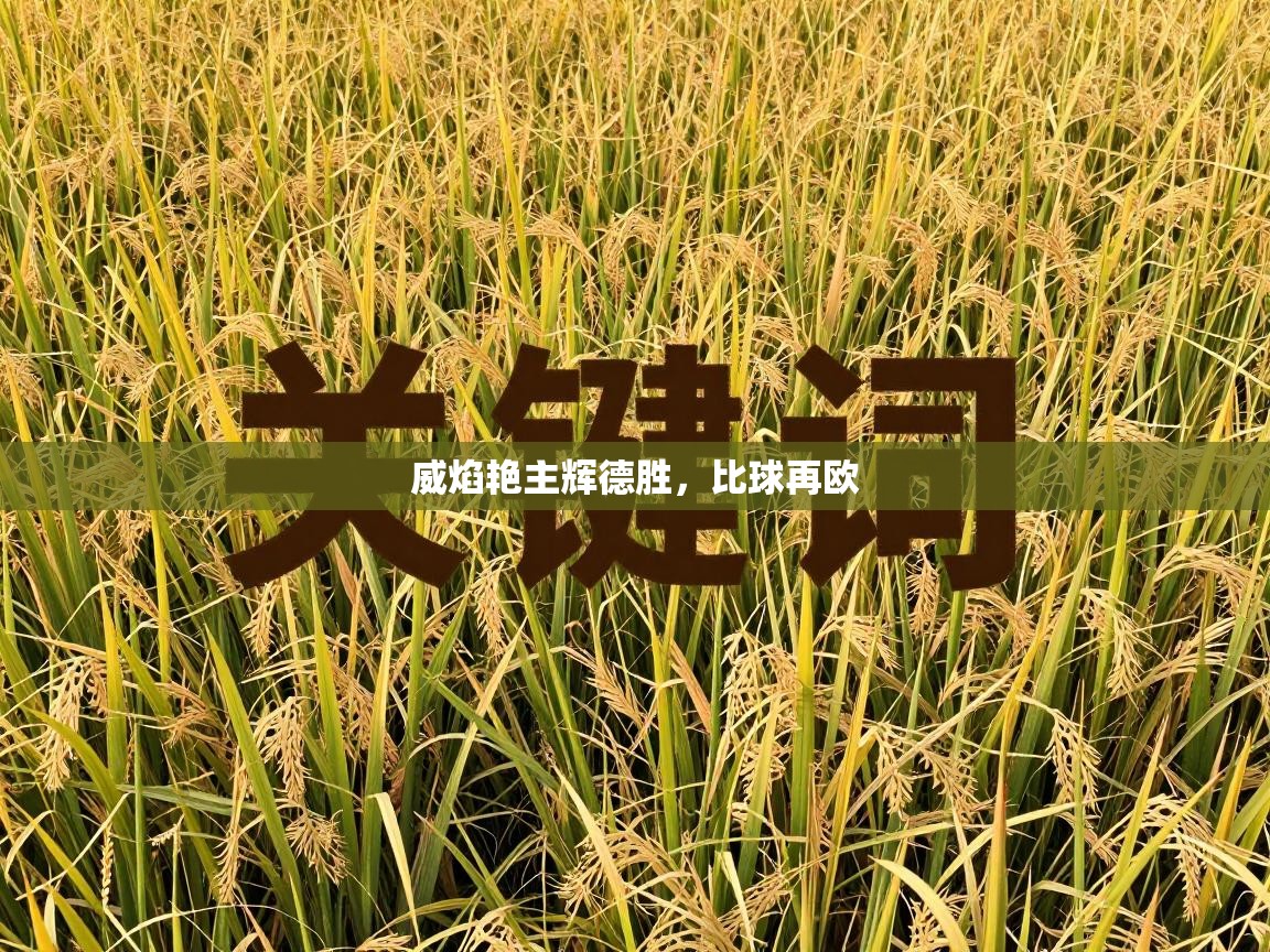 威焰艳主辉德胜，比球再欧  第2张