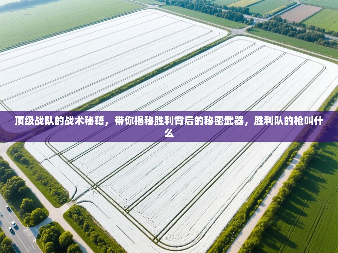 顶级战队的战术秘籍，带你揭秘胜利背后的秘密武器，胜利队的枪叫什么  第2张