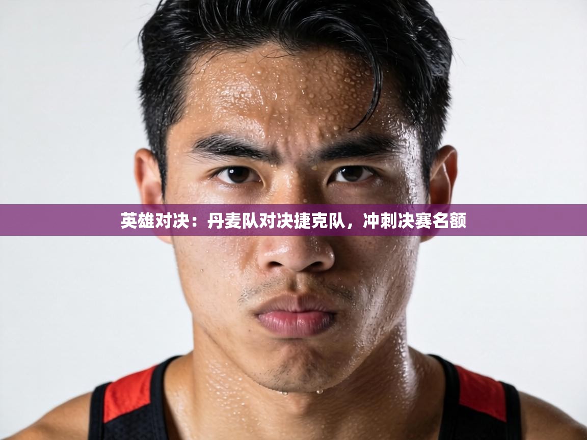 英雄对决:丹麦队对决捷克队,冲刺决赛名额 第1张