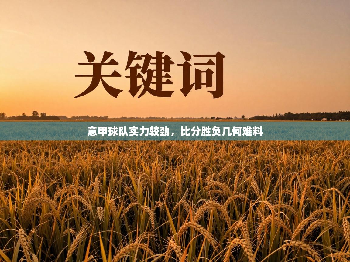 意甲球队实力较劲,比分胜负几何难料 第1张